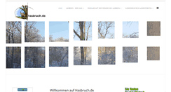 Desktop Screenshot of hasbruch.de